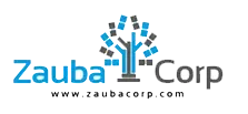 Placement Partner